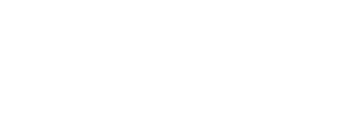 Dimesion Data